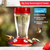 More Birds Big Gulp Glass Hummingbird Feeder