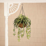 Artificial Hanging Spider plant potted green PVC fake Decor - GardenDecorNmore.com