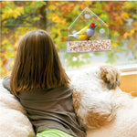 Window Bird feeder Clear Squirrel Proof Suction Cup - GardenDecorNmore.com