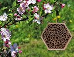 Creative Wooden Garden Tube Bee Hive Hotel House Mating nesting Box Habitat - GardenDecorNmore.com