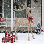 LED Christmas Deer With Antlers