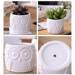 Succulent Owl Face Plant Flower pot Holder Ceramic decorative Pattern