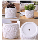 Succulent Owl Face Plant Flower pot Holder Ceramic decorative Pattern