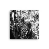 Black & White Photography Floral Iris Wall Art