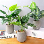 Artificial Fake Turtle Back Leaves Green foliage Silk Plants With Pot - GardenDecorNmore.com