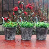 Vintage Washed Tin small Heart Flower Plant Bucket Balcony Hanging Hook Fence Pot - GardenDecorNmore.com