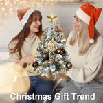 2ft Tabletop Artificial Mini Christmas Tree, Flocked Snow; Ornaments, Home & Office