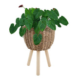 Wicker Planter Basket w Removable Legs -Indoor/Outdoor - All Weather Woven Flower Pots Container - Plant Stand set