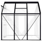 Greenhouse Anthracite Aluminum 38.9 ft²