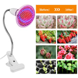 LED Grow Light 12W 200 Red Blue LEDs Plant clamp Lamp 360°Rotatable