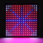 225 Blue Red Org White LED Grow Light UT