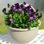 Wall Mounted Plant Pot Plastic Flowerpot Basket Planter Home Garden Decoration