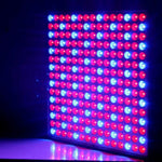 14W 1000LM 225-LED Red & Blue Light Indoor Garden Plant Grow Light Hanging Light