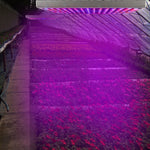 LED Grow Light Full Spectrum Hanging 225 LEDs Plant Grow Lamp Indoor