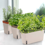 3 PCS of herbal flower pot