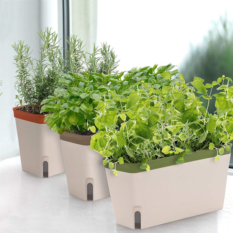 3 PCS of herbal flower pot