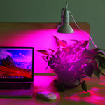 LED Grow Light 12W 200 Red Blue LEDs Plant clamp Lamp 360°Rotatable