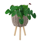 Wicker Planter Basket w Removable Legs -Indoor/Outdoor - All Weather Woven Flower Pots Container - Plant Stand set