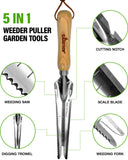 Gardtech Hand Weeder Multi Use Garden tool, Wooden Handle Stainless Steel Head,Transplanting, Pruning, Digging