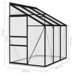 Greenhouse Anthracite Aluminum 140.1 ft³