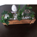 Wood Planter Box Garden Yard Micro Landscape Flower Succulent Container Plant Pot