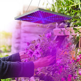 LED Grow Light Full Spectrum Hanging 225 LEDs Plant Grow Lamp Indoor