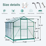 Greenhouse 6x8FT Green