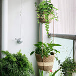 2 Tier Woven Hanging Plant Pot Seagrass Wall Hanging-Natural Stripe