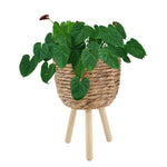 Wicker Planter Basket w Removable Legs -Indoor/Outdoor - All Weather Woven Flower Pots Container - Plant Stand set