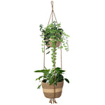 2 Tier Woven Hanging Plant Pot Seagrass Wall Hanging-Natural Stripe