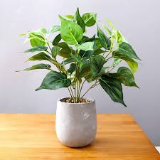 Artificial Fake Turtle Back Leaves Green foliage Silk Plants With Pot - GardenDecorNmore.com