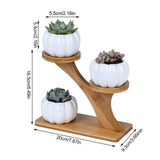 Succulent Plant Flower Holder Ceramic decorative Owl Pattern Pot - GardenDecorNmore.com