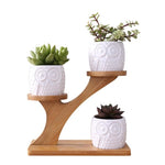 Succulent Plant Flower Holder Ceramic decorative Owl Pattern Pot - GardenDecorNmore.com