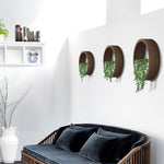 4 Colors Hanging Round Wall Vase - GardenDecorNmore.com