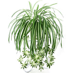 Artificial Hanging Spider plant potted green PVC fake Decor - GardenDecorNmore.com