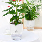 2 Layer Automatic Self Watering Planter Flowerpot Irrigating Vase - GardenDecorNmore.com