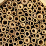 Creative Wooden Garden Tube Bee Hive Hotel House Mating nesting Box Habitat - GardenDecorNmore.com